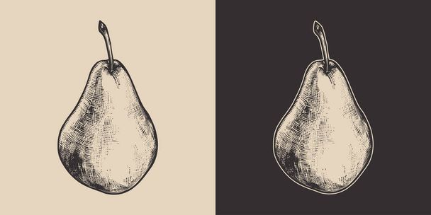 Set of vintage retro woodcut linocut engraving gravure sketch organic eco pear. Can be used like emblem, logo. mark, poster or print. Monochrome Graphic Art. Vector. Hand drawn element in antique style.	 - Vektor, Bild