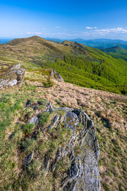 Spring landscape of the Bieszczady Mountains. A view of the Mount Halicz. - Foto, immagini