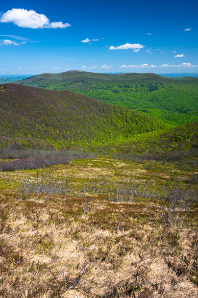 Spring landscape of the Bieszczady Mountains. View from Wielka Rawka. - Foto, immagini