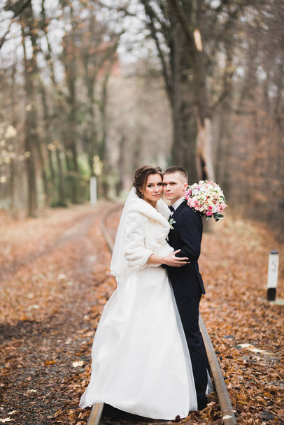 Wedding couple on the nature is hugging each other. Beautiful model girl in white dress. Man in suit. - Foto, Bild