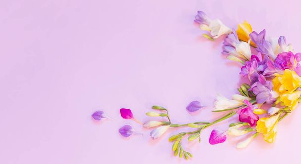 beautiful freesia flowers on pink background - Photo, Image