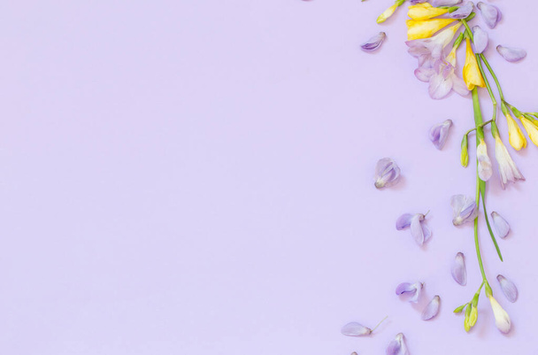 wisteria and freesia flowers on purple background - Foto, imagen