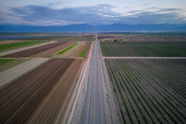 Carretera que pasa por tierras agrícolas, viñedos y plantaciones de olivos en la zona rural de California, cerca de Bakersfield. - Foto, imagen