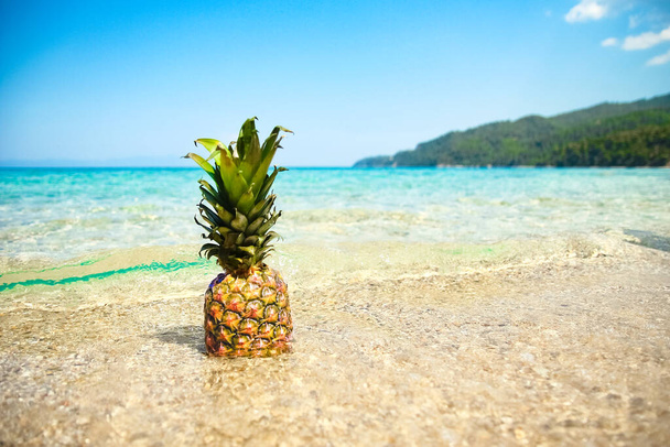 pineapple in the water by the sea in nature weekend travel - Zdjęcie, obraz