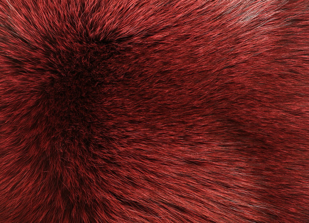 Red and black colored arctic fox fur - Φωτογραφία, εικόνα