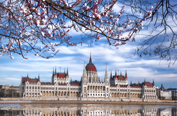  Parlamento durante la primavera a Budapest, Ungheria
 - Foto, immagini