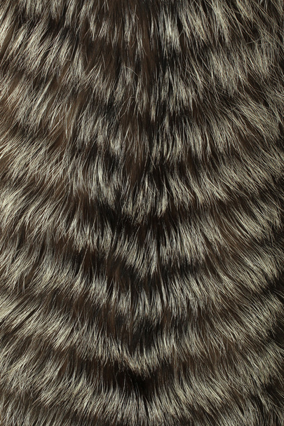 Silver fox ραμμένες γούνα - Φωτογραφία, εικόνα