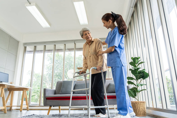 Asian Young physical therapist female help aged female patient walk with walker at home, aftercare and physiotherapy concept - 写真・画像
