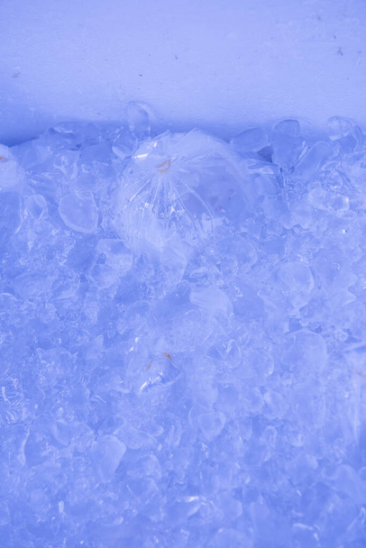 タイの氷の中のココナッツジュース. - 写真・画像