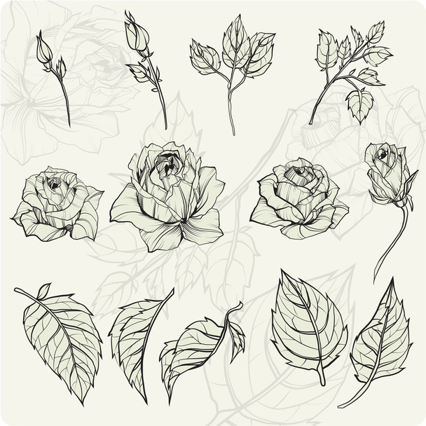 Sketch rose Flowers set - Vector, imagen