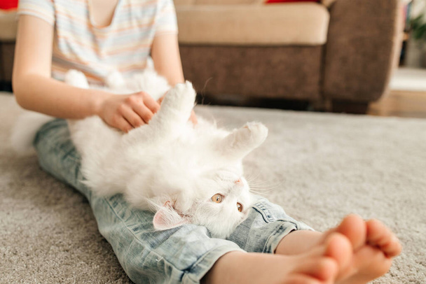 Dospívající dívka si hraje se svým milovaným bílým, chlupatým koťátkem. Kotě leží na nohách dítěte a škrábou se a hladí ho po břiše. - Fotografie, Obrázek