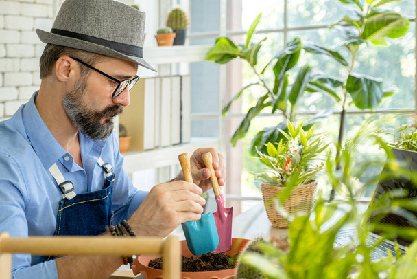 ヒップスター高齢者の男性は、持続可能な退職後の都市の家の園芸の趣味であるラップトップで植物の世話をオンラインで学ぶ. - 写真・画像
