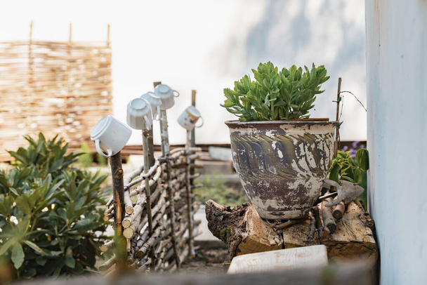 Tuinieren - een set gereedschappen voor een tuinman en bloempotten in een zonnige tuin. Bekers op de latten van een oud hek. Traditionele folk ornament van Europ - Foto, afbeelding