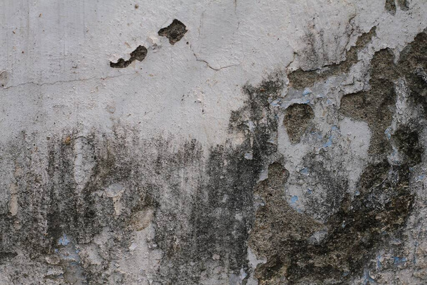 old grunge wall texture - Photo, Image