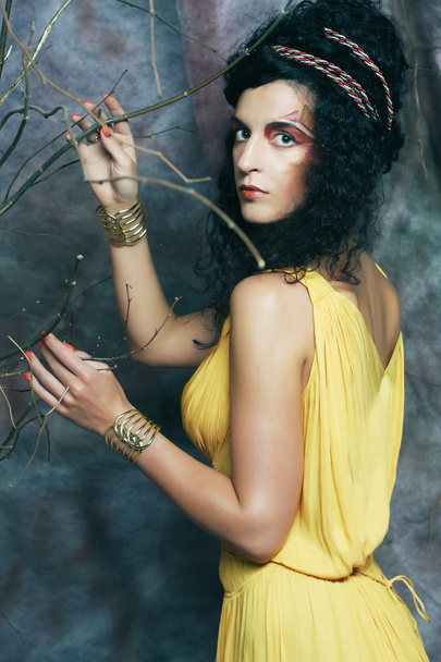 woman with bright make up with dry branches - Foto, Imagen