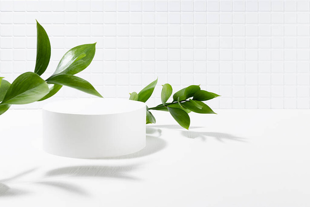 Spring abstract white scene one cylinder podium template for presentation cosmetic, goods, advertising, design, tiny mosaic tile, fresh tropical green leaves in sunlight, shadow in elegant style. - Foto, Imagem