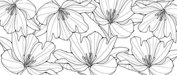 Czarno-biały kwiat zdjęcie do kolorowania. Kwiatowe tło dla kolorowanki, tapety, wystrój. - Wektor, obraz