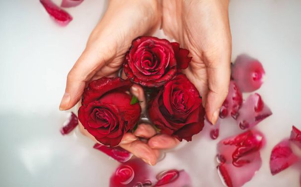 Manos de mujer sosteniendo rosas rojas en bañera con leche. - Foto, Imagen
