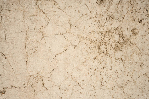 The texture of white marble as a background - Foto, Bild