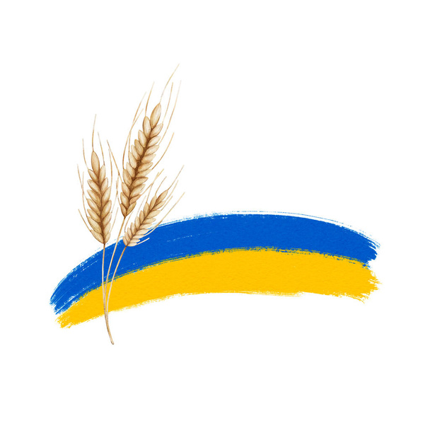The flag of Ukraine and ears of wheat - symbol of harvest of wheat. Illustration of freedom, fertility, victory - Foto, Imagen