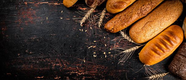 Different types of bread with spikelets. Against a dark background. High quality photo - Foto, immagini