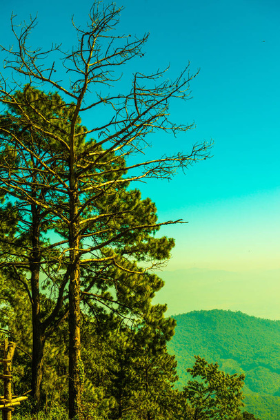 Гірський краєвид в провінції Чіангмай (Таїланд).. - Фото, зображення