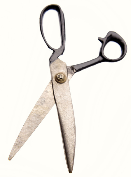 Scissors - Фото, зображення