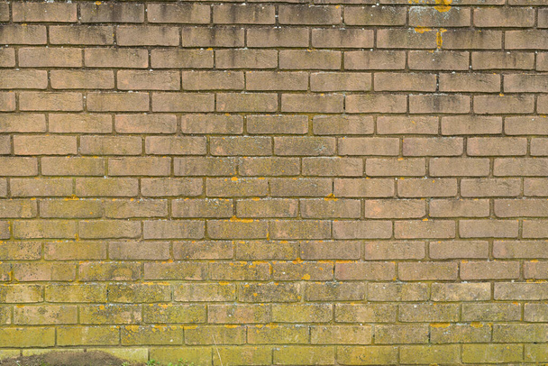 Vieux mur de briques motif sans couture, fond pour la conception et la décoration - Photo, image