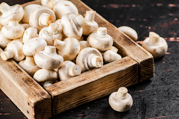 Mushrooms on a wooden tray. Against a dark background. High quality photo - Foto, Imagen