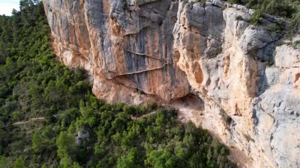 Panoramique belle vue aérienne vertigineuse de l'escalier en bois à la falaise rocheuse dans le cadre du sentier de randonnée dans la gorge de Congost de Montrebei entouré de végétation sur la rivière en Catalogne, Pyrénées, Espagne. 4K  - Séquence, vidéo