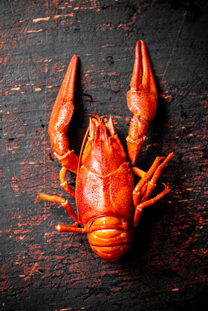 One red boiled crayfish on the table. Against a dark background. High quality photo - 写真・画像