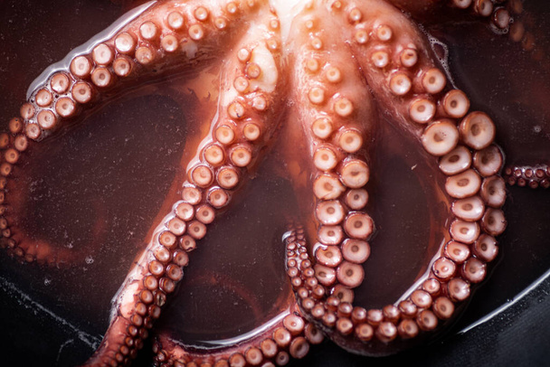 The tentacles of the octopus are boiled in water. Macro background. Octopus texture. High quality photo - Photo, Image