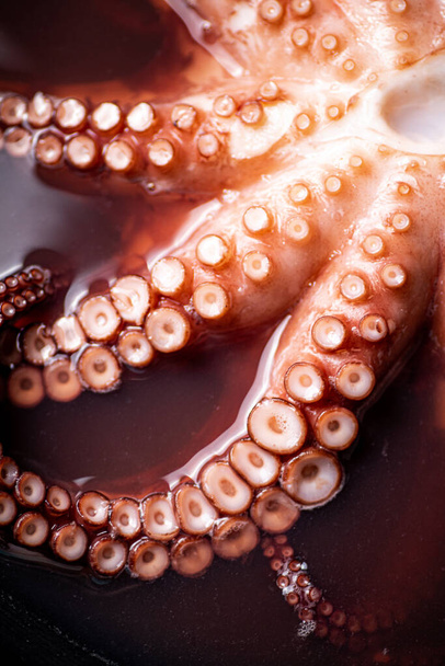 The tentacles of the octopus are boiled in water. Macro background. Octopus texture. High quality photo - Photo, Image