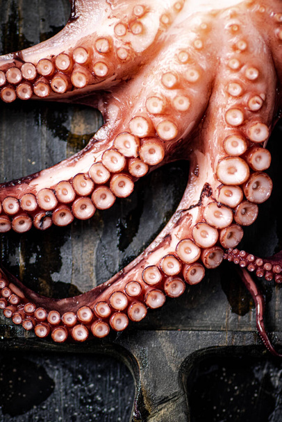 Tentacles of a fresh octopus on a cutting board. On a black background. High quality photo - Photo, image