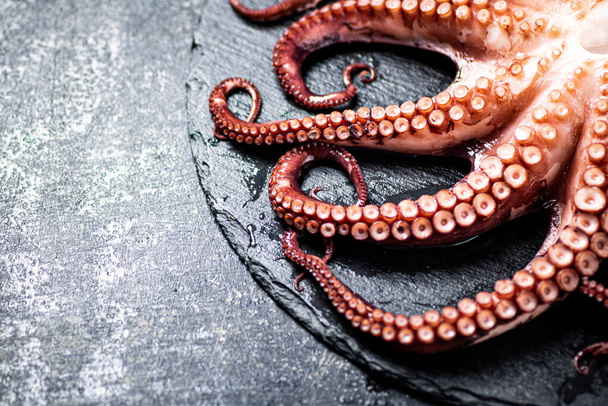Fresh octopus on a stone board. On a black background. High quality photo - Foto, immagini