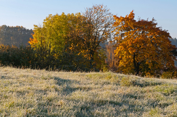 Autumn Morning Hoarfrost - Φωτογραφία, εικόνα