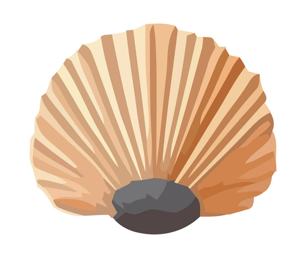Seashell decoração da natureza, uma lembrança de férias de verão isolado - Vetor, Imagem