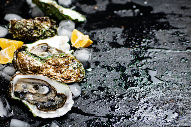 Oysters with lemon and ice cubes. On a black damp background. High quality photo - Фото, изображение