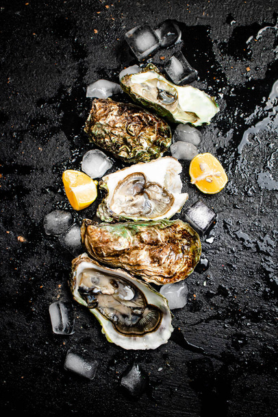 Oysters with lemon and ice cubes. On a black damp background. High quality photo - Foto, afbeelding