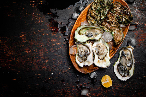 Fresh oysters with ice on a wooden plate. Against a dark background. High quality photo - Foto, immagini