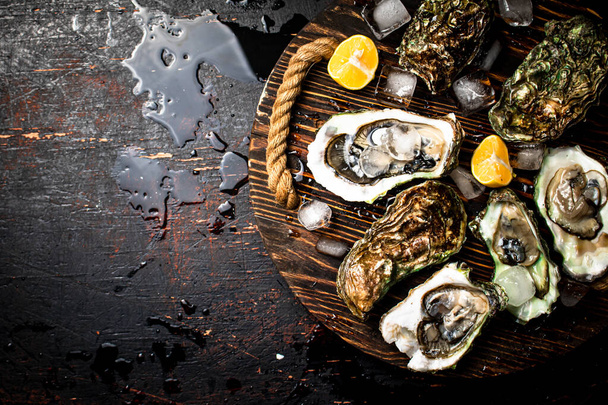Oysters with ice cubes on a wooden tray. On a rustic dark background. High quality photo - Фото, зображення