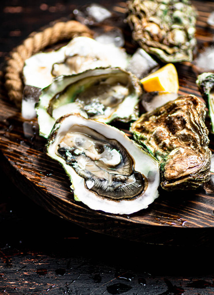 Oysters with ice cubes on a wooden tray. On a rustic dark background. High quality photo - Foto, Imagem
