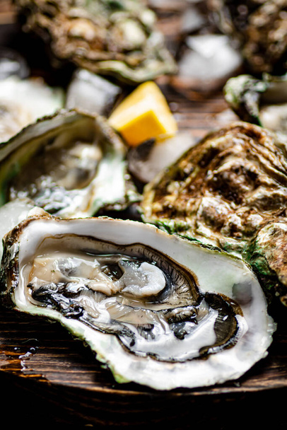 Delicious oysters. Macro background. The texture of oysters. High quality photo - Foto, immagini