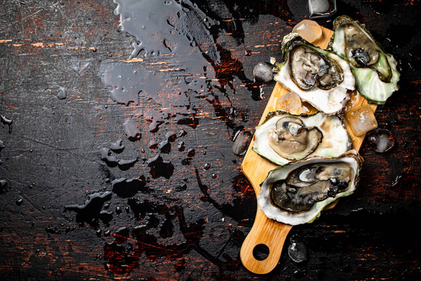 Oysters on a wooden cutting board. On a rustic dark damp background. High quality photo - Фото, изображение