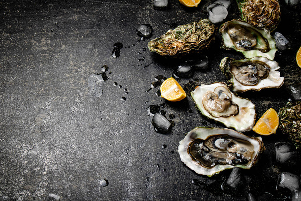 Oysters with pieces of ice and lemon. On a black background. High quality photo - Foto, immagini