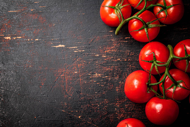 Fresh fragrant tomatoes on a branch. Against a dark background. High quality photo - Zdjęcie, obraz