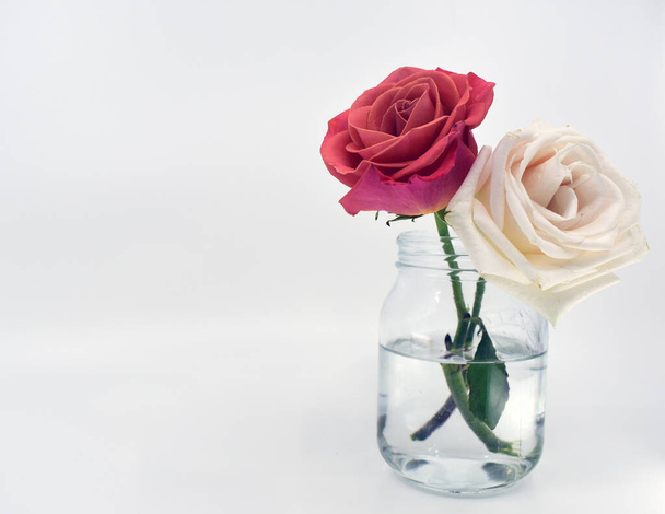 pink roses in an old vase on a white background close up - Foto, imagen