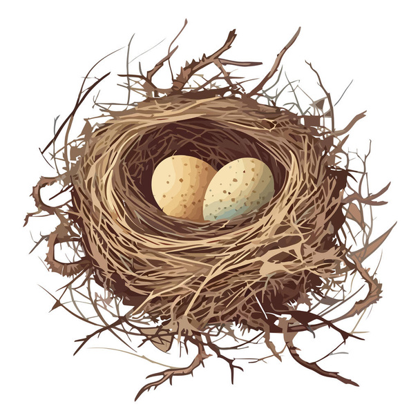 Organic bird nest celebrates springtime with eggs isolated - Vector, Image