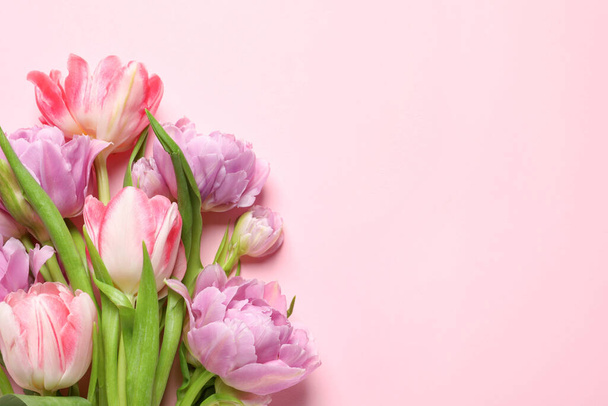 Beautiful colorful tulip flowers on pink background, top view. Space for text - Foto, imagen