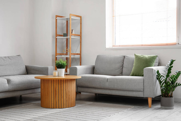 Interno di soggiorno luminoso con divani grigi e piante d'appartamento su tavolino - Foto, immagini